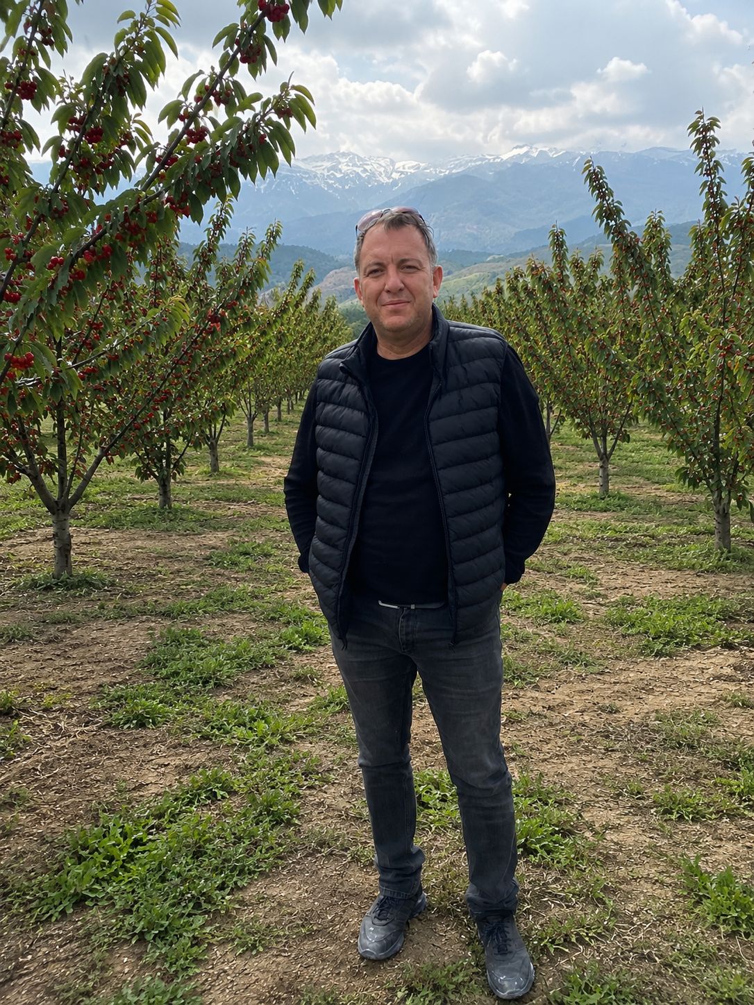 KİRAZ BAHÇELERİNDE EMEK VAR, KAZANÇ YOK