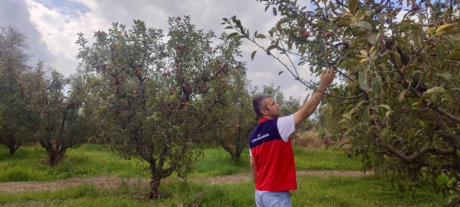 MEYVE BAHÇELERİNDE HASTALIK VE ZARARLI KONTROLLERİ DEVAM EDİYOR